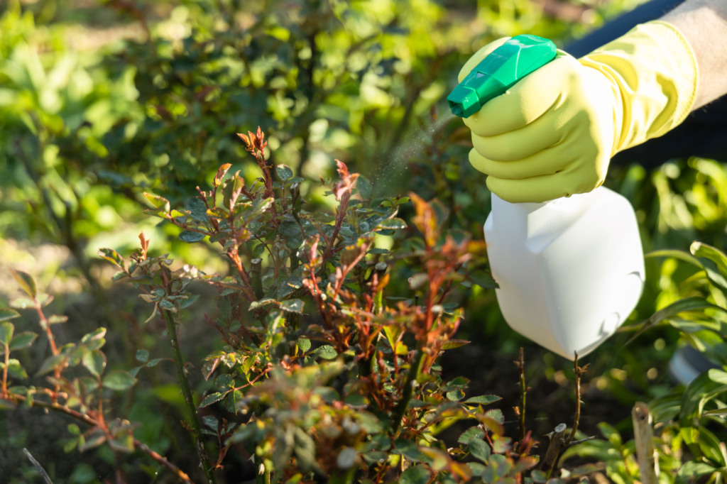 Pesticide Allergies And How To Identify Them | Willis Pest Control